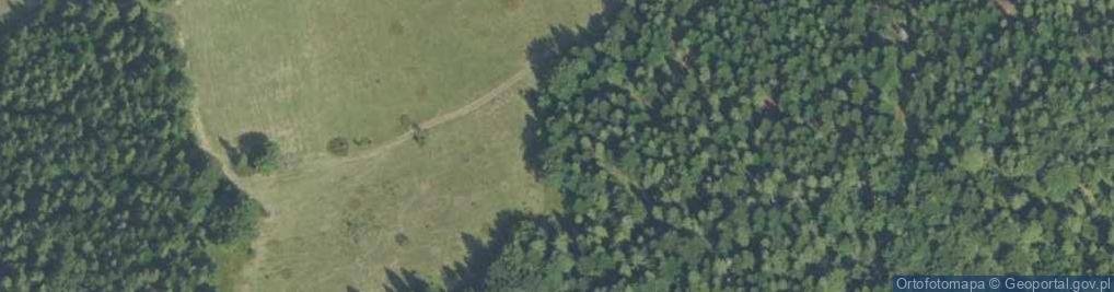 Zdjęcie satelitarne Łopień (Złotopień)