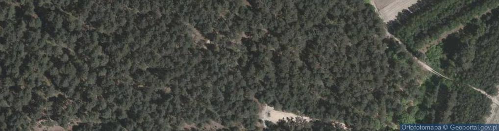 Zdjęcie satelitarne Łysa Góra
