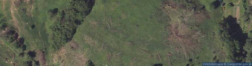 Zdjęcie satelitarne Majkowa