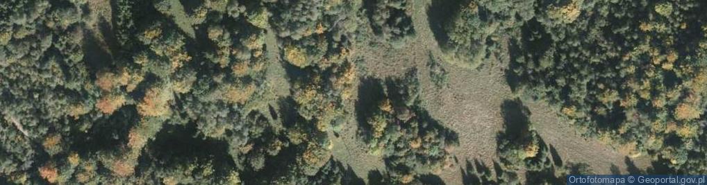 Zdjęcie satelitarne Mała Zabawa
