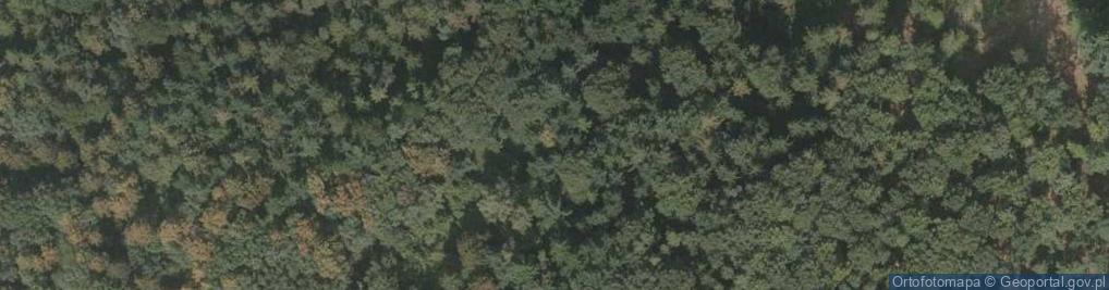 Zdjęcie satelitarne Mnisza Góra