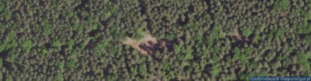 Zdjęcie satelitarne Modrzewiowa Góra