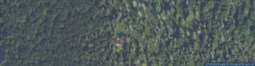 Zdjęcie satelitarne Mogielica (Mogielnica)
