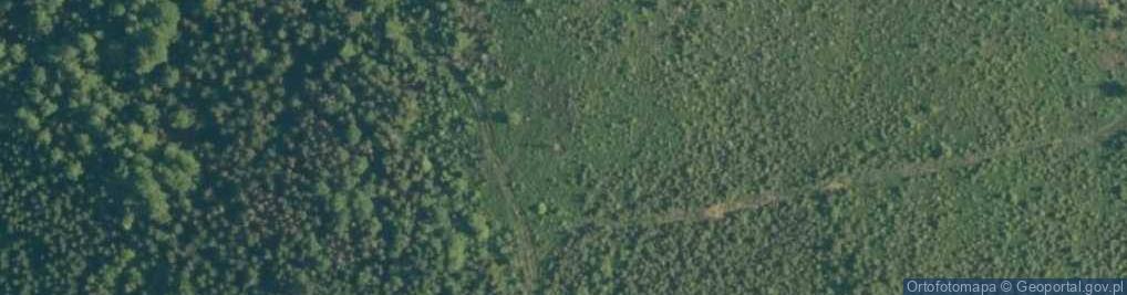 Zdjęcie satelitarne Naroże (Soska)