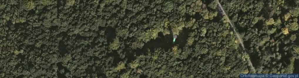 Zdjęcie satelitarne Nosiec (Liściasta)