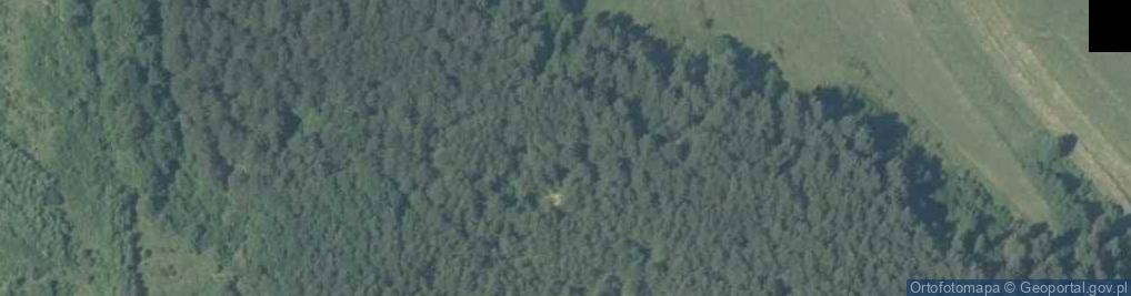 Zdjęcie satelitarne Obłaźnia Góra