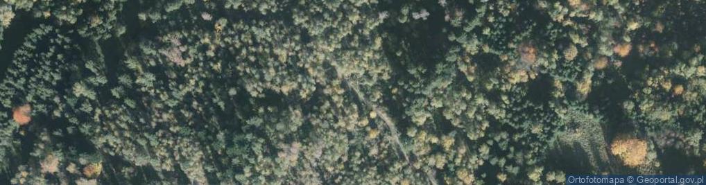 Zdjęcie satelitarne Palenica