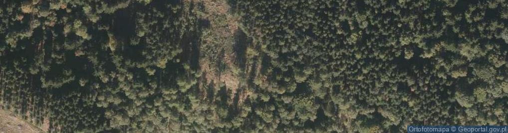 Zdjęcie satelitarne Pańska Góra