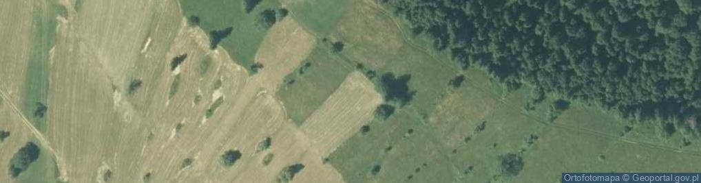 Zdjęcie satelitarne Pawlików Wierch