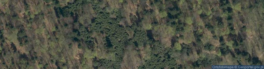 Zdjęcie satelitarne Popowe Wierchy