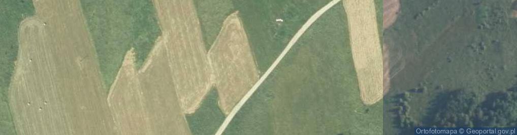 Zdjęcie satelitarne Przeddomański Wierch
