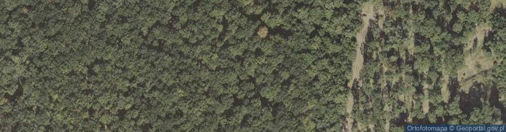 Zdjęcie satelitarne Przednia Dębowa Góra