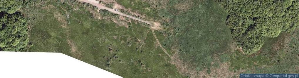 Zdjęcie satelitarne Przełęcz Bukowska