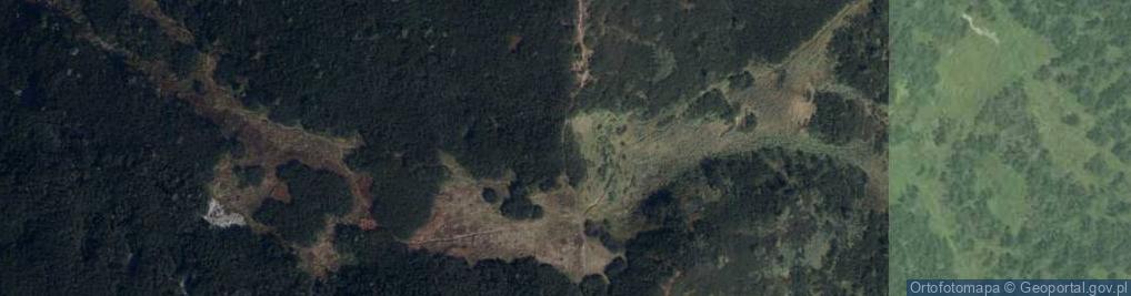 Zdjęcie satelitarne Przełęcz Tomanowa