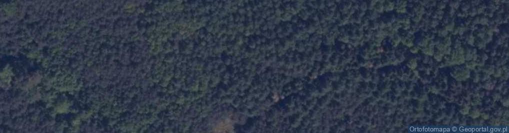 Zdjęcie satelitarne Rysia Góra
