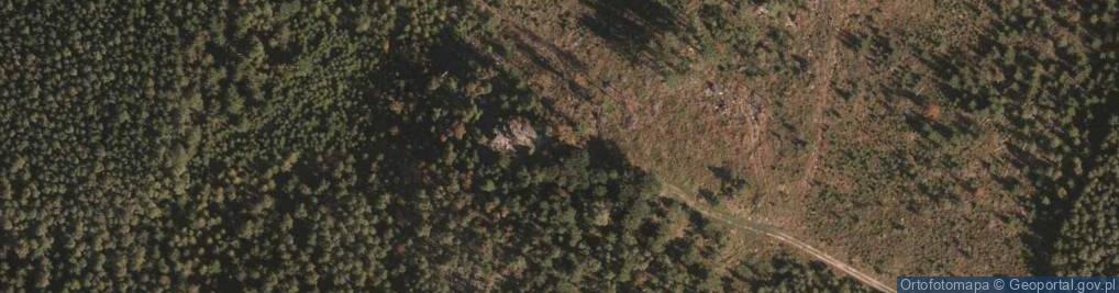 Zdjęcie satelitarne Sępia Góra