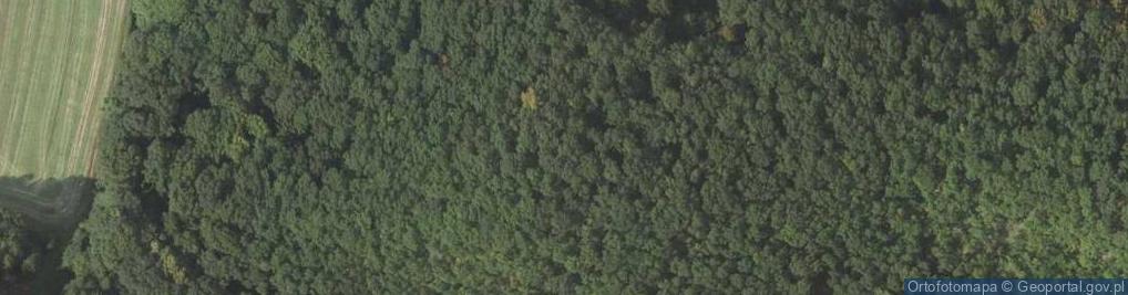 Zdjęcie satelitarne Sichowskie Wzgórza