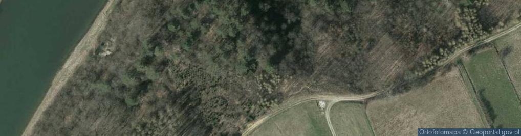 Zdjęcie satelitarne Skała