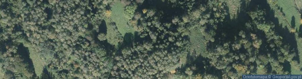 Zdjęcie satelitarne Slopków Groń
