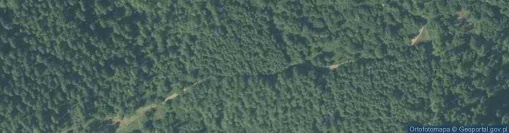 Zdjęcie satelitarne Sołtysia Góra