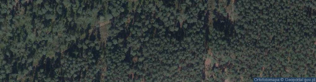 Zdjęcie satelitarne Sosnowa Góra
