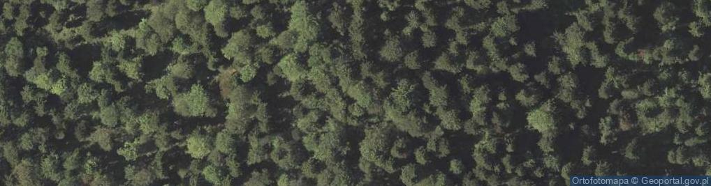 Zdjęcie satelitarne Spalona Góra