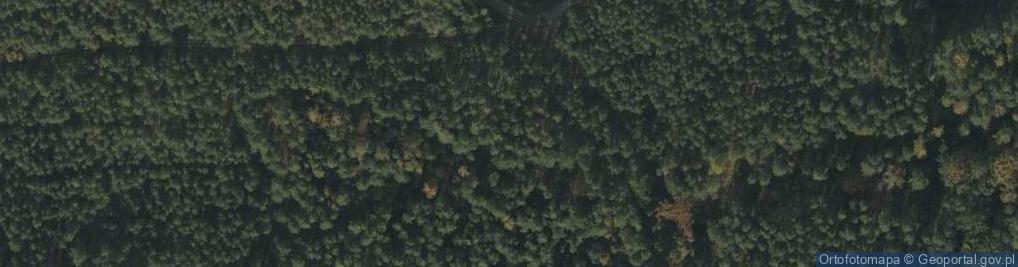 Zdjęcie satelitarne Srocza Góra