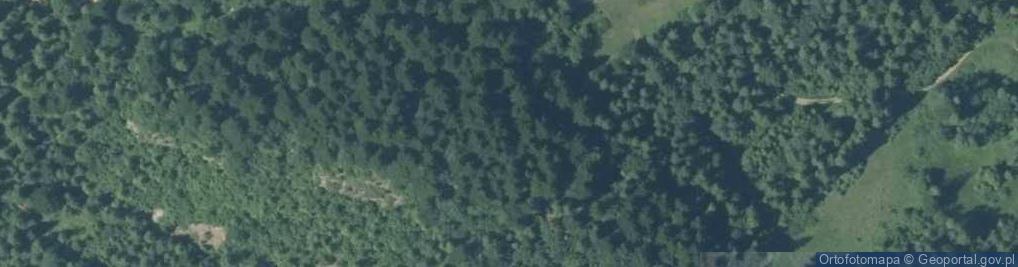 Zdjęcie satelitarne Stronia