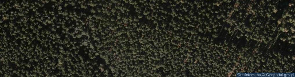 Zdjęcie satelitarne Strzelczyk