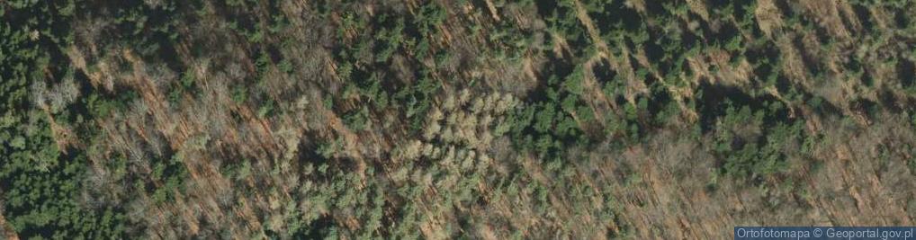 Zdjęcie satelitarne Sucha Góra