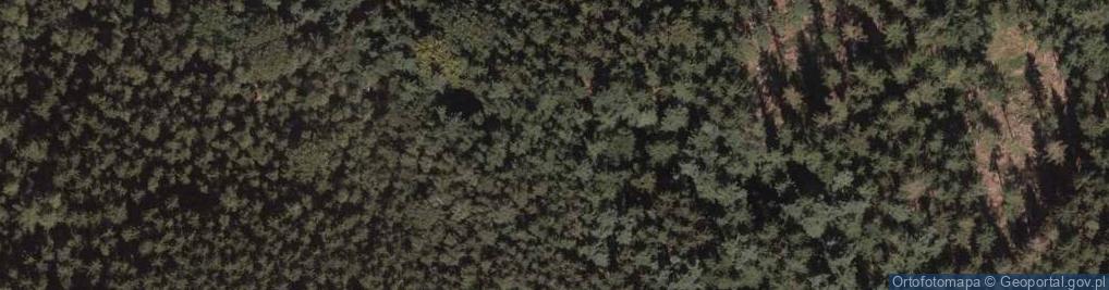 Zdjęcie satelitarne Sucha Góra