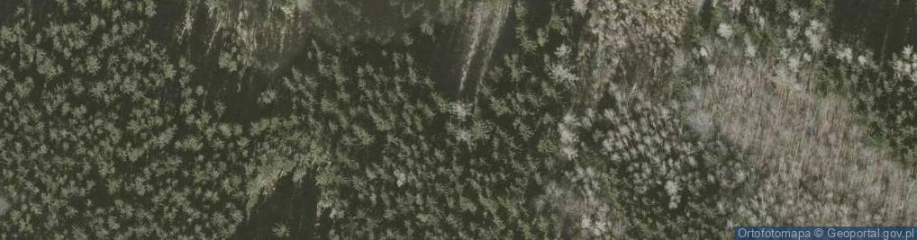 Zdjęcie satelitarne Suchań