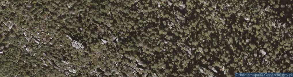 Zdjęcie satelitarne Szczeliniec Wielki