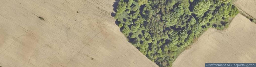 Zdjęcie satelitarne Szczyt