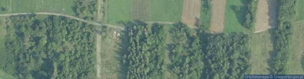 Zdjęcie satelitarne Szubienna Góra