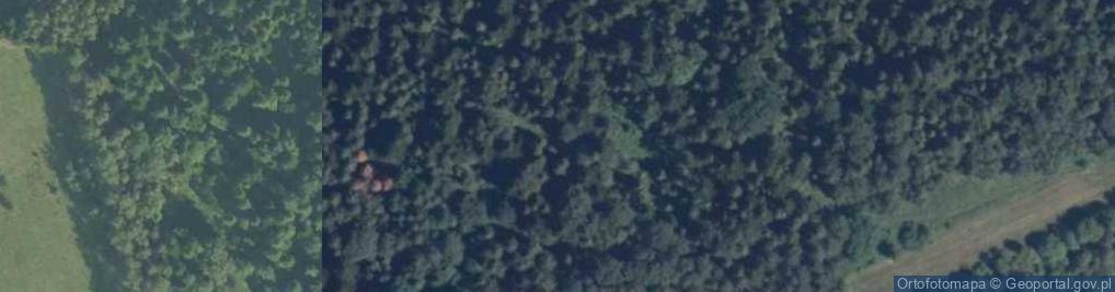 Zdjęcie satelitarne Szyszkowa (Syskowa)