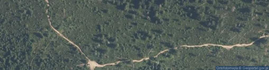 Zdjęcie satelitarne Turbacz