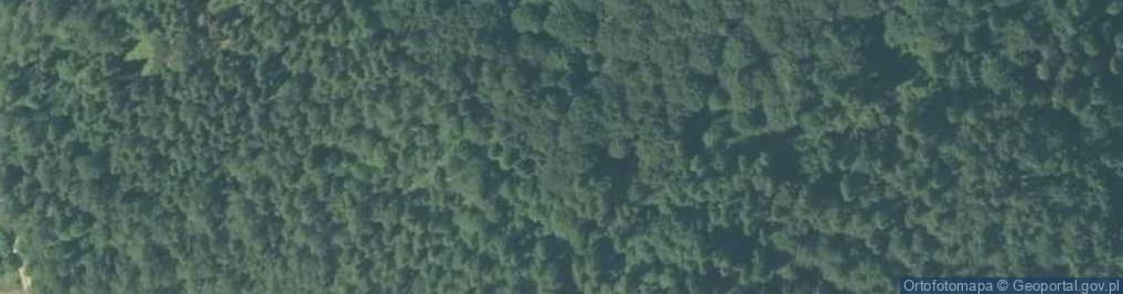 Zdjęcie satelitarne Tynusia Góra