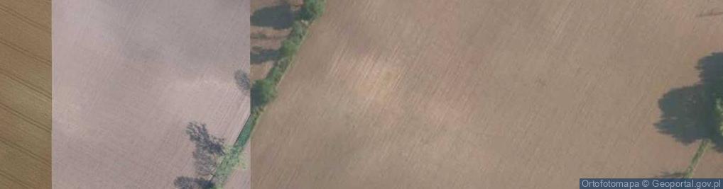 Zdjęcie satelitarne Wapienna