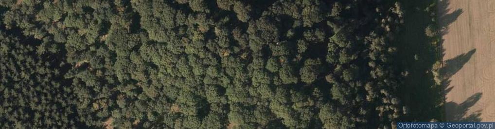 Zdjęcie satelitarne Wapiennik