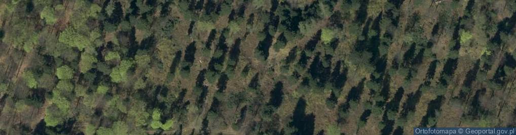 Zdjęcie satelitarne Wierch (Męcińska Góra)