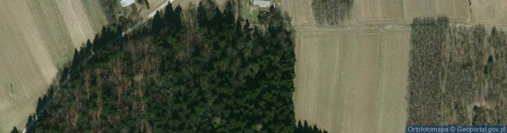 Zdjęcie satelitarne Wilcza Góra