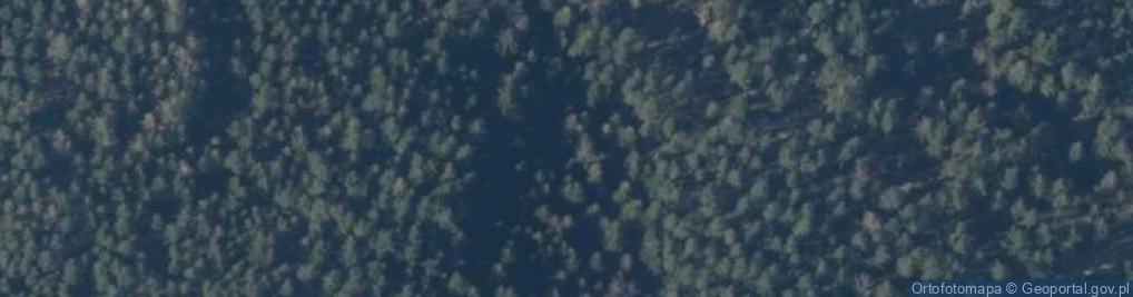 Zdjęcie satelitarne Wilcza Góra