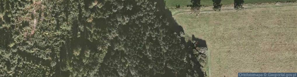 Zdjęcie satelitarne Wojtków (Wojtkowa)