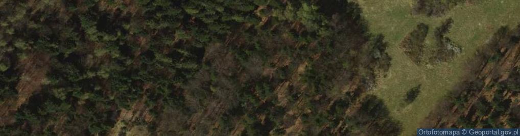 Zdjęcie satelitarne Wolentarski Groń