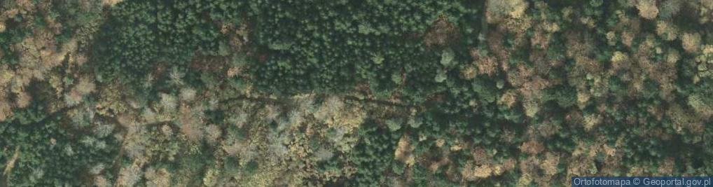 Zdjęcie satelitarne Wysoki Łaz