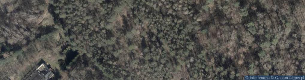 Zdjęcie satelitarne Wzgórze Akademickie