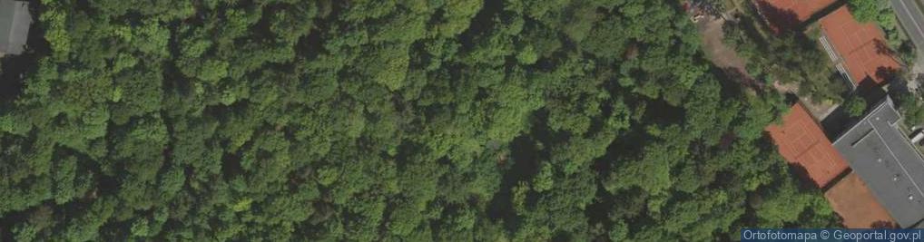 Zdjęcie satelitarne Wzgórze Kościuszki