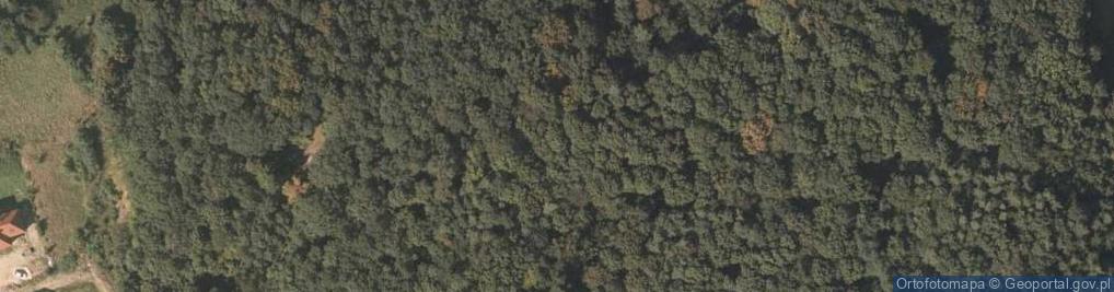 Zdjęcie satelitarne Wzgórze Ryszarda