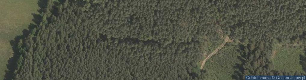 Zdjęcie satelitarne Zadworska Góra